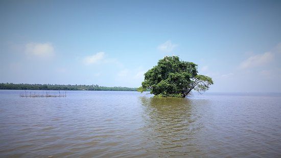 Negombo Lagoon